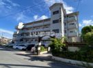 ファミール森園の間取り画像