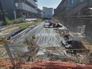 セレスティア東葛西Ⅴの外観