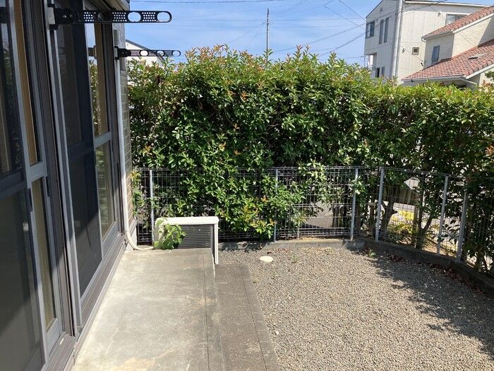 庭