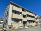 ロイヤル アイランドの間取り画像