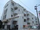ドム箱田の間取り画像