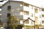 富雄サンパレスⅡ号館の間取り画像