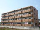 西村マンションIIの間取り画像