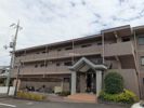 ファミール駒坂の間取り画像