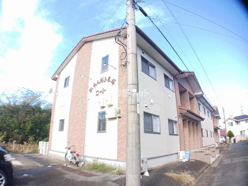 わんだふるコートの外観画像