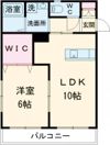 フォルシアIIの間取り画像