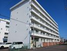 サンハイツ新中野の外観