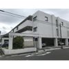 カーサソロチョウの外観