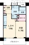 エルグレース神戸三宮タワーステージの間取り画像