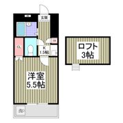 フリーダムC棟の間取り画像