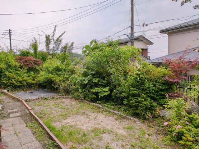 庭