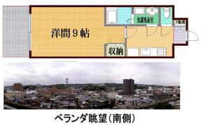 ラヴィナスアテンコートの間取り画像