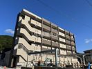PHOENIX鏡FORESTの間取り画像