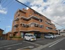 森の木ハイツの間取り画像