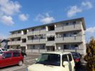 ファミーユスクエアー A棟の間取り画像