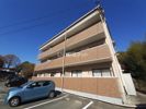 メゾン橘の間取り画像