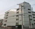 プライドタワーの間取り画像
