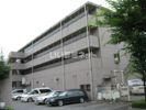 昭島コートエレガンスA棟の間取り画像