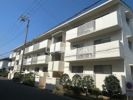 新賀暁マンションの間取り画像