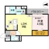 COEUR八日市（ｸｰﾙﾖｳｶｲﾁ）の間取り画像
