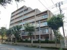 レクセルマンション淵野辺第2の間取り画像