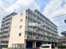 真宮マンションの間取り画像