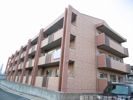 ラフィーネ新川の間取り画像