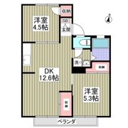 アネックス宮崎Ⅱ番館の間取り画像