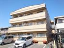 ヴィヴィッドの間取り画像