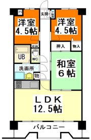 清水マンションの間取り画像