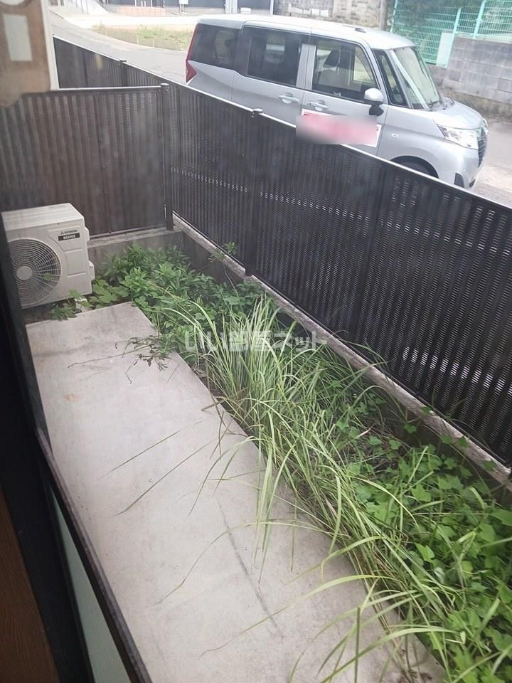 庭