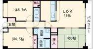 グランヴェルデ鴻池の間取り画像