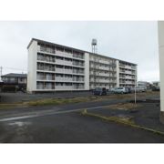 ドムス東長岡A棟の外観画像