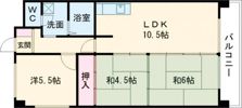 アルベール本町の間取り画像