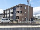エメラルドグリーンの間取り画像