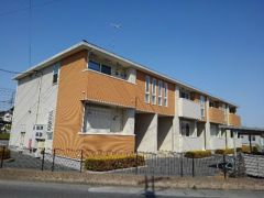 スイートアリッサムの外観画像