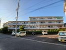 サン青山の間取り画像