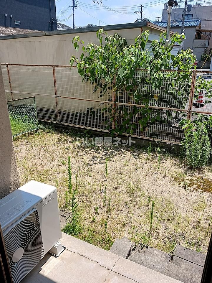 庭