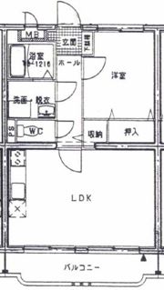 セルリア大橋の間取り画像