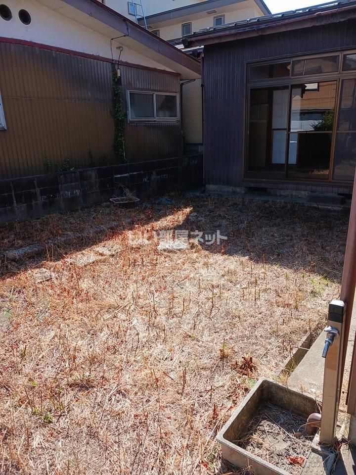 庭