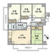 ルミナス相模原の間取り画像