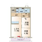 M Ricci（エムリッチ）の間取り画像
