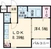 ステラキャットハートの間取り画像