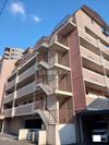 Maison Gotohの間取り画像