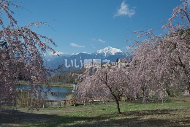 近くに施設あり