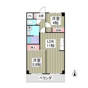 ホワイトパレス大宮の間取り画像