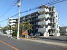 ハビテーション向丘の外観画像