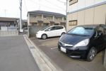 カモミールの外観