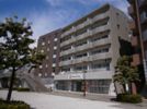 カラット中川の間取り画像