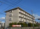 脇坂マンションの間取り画像